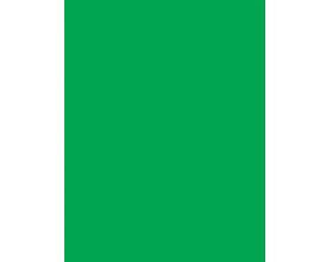 Grafton A4 80gsm Coloured Paper - 100 Sheets