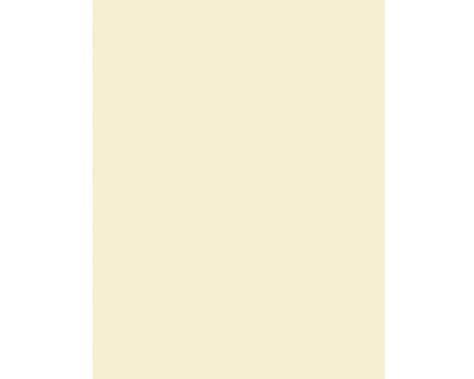 Grafton A4 80gsm Coloured Paper - 100 Sheets